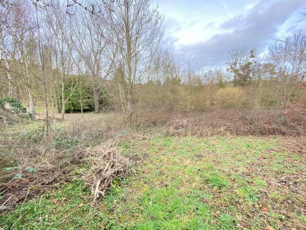 Charmante longère, espace et grand terrain