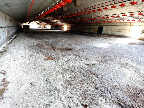 EXPLOITATION AGRICOLE