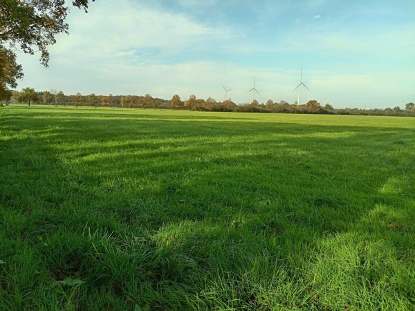 EXPLOITATION AGRICOLE