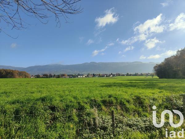 Maison traditionnelle 3 pièces de 116 m² à Feigères (74160)