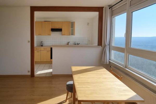 Appartement à vendre à Nancy (54000)
