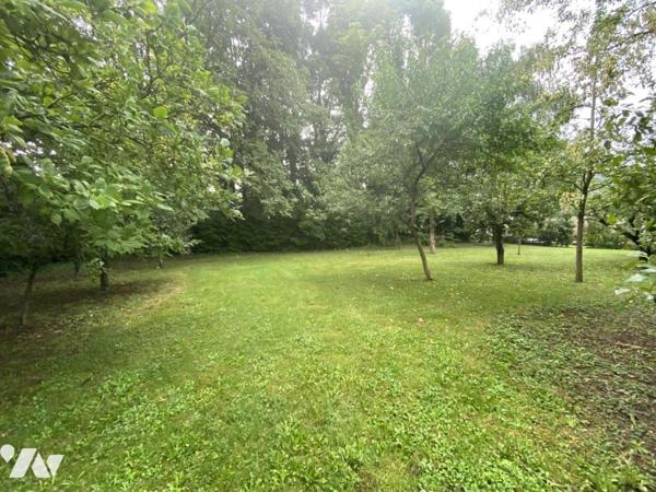 ✨BAISSE DE PRIX✨ 