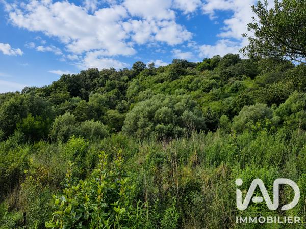 Terrain à vendre 14 741 m² Ocana