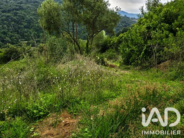 Terrain à vendre 14 741 m² Ocana