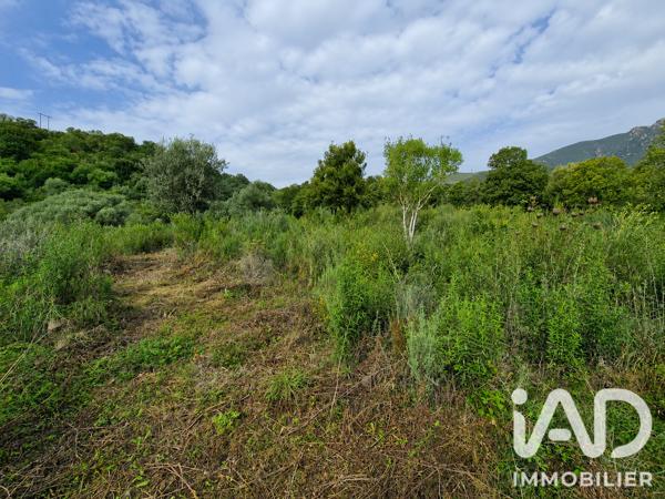 Terrain à vendre 14 741 m² Ocana