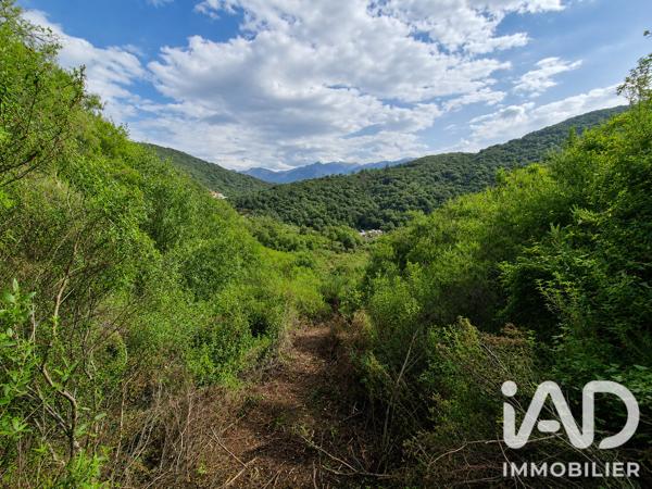 Terrain à vendre 14 741 m² Ocana