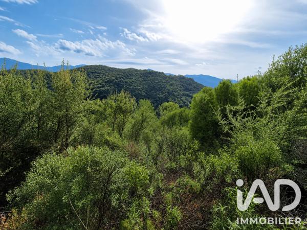 Terrain à vendre 14 741 m² Ocana