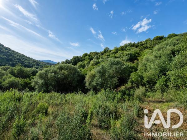 Terrain à vendre 14 741 m² Ocana