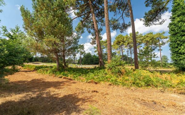 Maison à vendre    2 pièces •  Gujan-Mestras