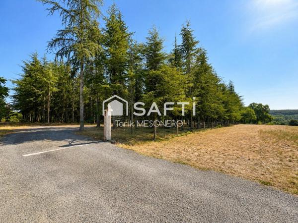 Terrain viabilisé + revenu locatif