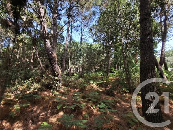 Maison à vendre  5 pièces - 101,93 m 2   DOLUS D OLERON  - 17