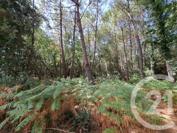 Maison à vendre  5 pièces - 101,93 m 2   DOLUS D OLERON  - 17