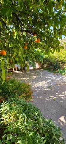 Charme des Années 30 & Douceur de Vivre à Toulon Est
À la recherche d'un cocon alliant caractère, calme et proximité ? 
Découvrez cette maison de ville des années 30, véritable havre de paix situé à Toulon Est, à deux pas du centre-ville. 
Entièrement rénovée avec goût, elle offre de belles prestations où vous n'aurez plus qu'à poser vos valises.

✨ Un Rez-de-Chaussée dédié à la convivialité
Dès l'entrée, vous serez séduit par l'atmosphère chaleureuse des pièces de vie :
Un salon cosy avec cheminée, idéal pour vos soirées d'hiver.
Une cuisine dînatoire moderne et une salle à manger lumineuse.
Le tout ouvert sur un jardin intimiste et une terrasse à l'arrière, parfaits pour vos petits-déjeuners au soleil ou vos dîners entre amis.
Un WC indépendant complète ce niveau.

🛌 Un Étage pensé pour la famille
Le bel escalier vous mène à l'espace nuit composé de :
Deux grandes chambres, dont la suite principale qui s'ouvre sur une vaste terrasse privative surplombant le jardin.
Une troisième chambre, idéale pour un jeune enfant ou un espace bureau.
Un dressing fonctionnel pour un rangement optimal.
Une superbe salle d'eau contemporaine avec WC.
Une cave vient compléter ce bien.

🛠️ Les "Plus" Techniques & Pratiques
Confort absolu : Climatisation réversible dans toute la maison.
Sérénité : Toiture rénovée en 2022 et électricité aux normes.
Extérieur : Jardin clos avec possibilité de stationner 2 véhicules (potentiel de places supplémentaires selon aménagement).

Emplacement stratégique : Proximité immédiate des écoles, commerces, cliniques et lignes de bus. Tout est accessible à pied !

Le mot de votre conseillère : C’est une maison rare sur le secteur. Elle a su conserver son âme des années 30 tout en offrant le confort d’une rénovation moderne et performante. Un véritable coup de cœur pour ceux qui cherchent la vie citadine sans renoncer au jardin.

Envie de découvrir ce bijou ? Contactez-moi pour organiser votre visite ! 06 01 82 85 97
