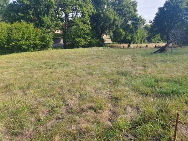 TERRAIN 1391m2 CONSTRUCTIBLE ET VIABILISE A EAUZE