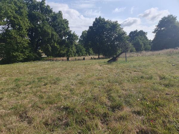 TERRAIN 1391m2 CONSTRUCTIBLE ET VIABILISE A EAUZE