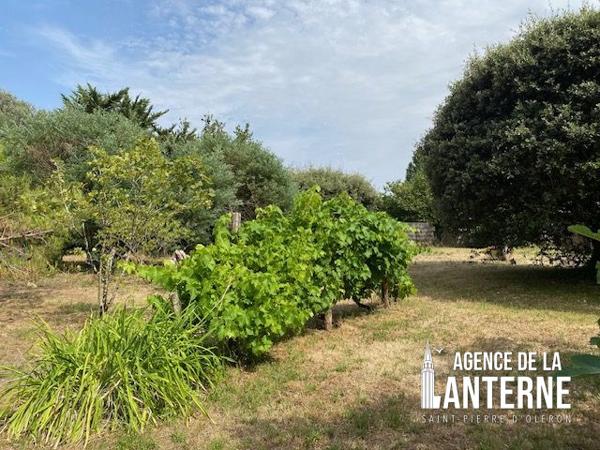 DOLUS - MAISON 160 m² - TERRAIN 3 728 m²