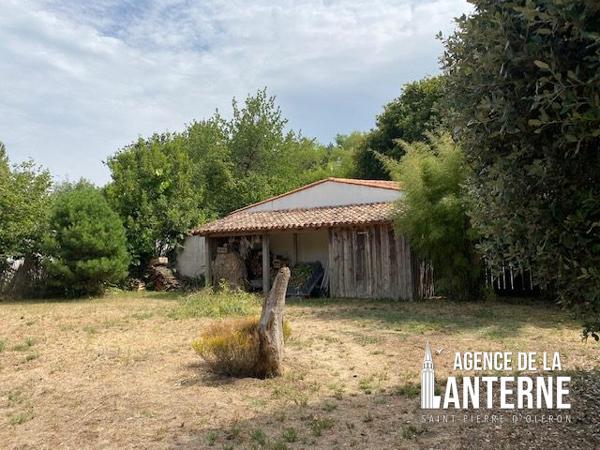 DOLUS - MAISON 160 m² - TERRAIN 3 728 m²