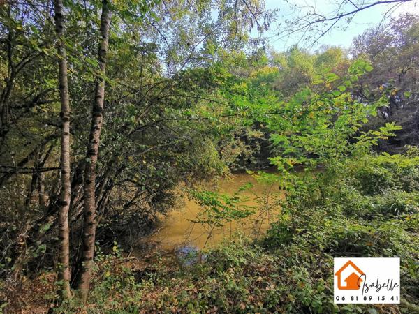Très belle propriété de 60 hectares tout attenants, avec étang, mare, source, ruisseau, et autour d’une maison individuelle T6, avec grange, hangar, étable en pierre, stabulation, appentis, ancien petit poulailler.