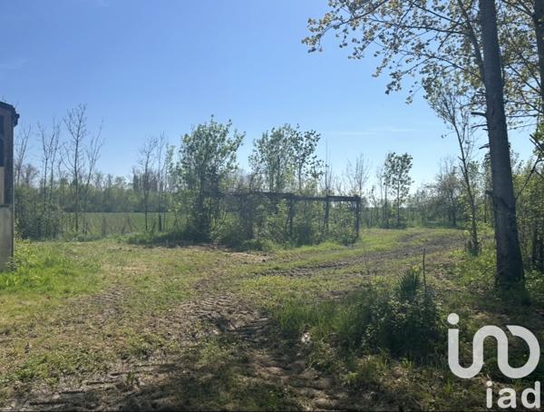 Terrain à vendre 3 966 m² Taugon