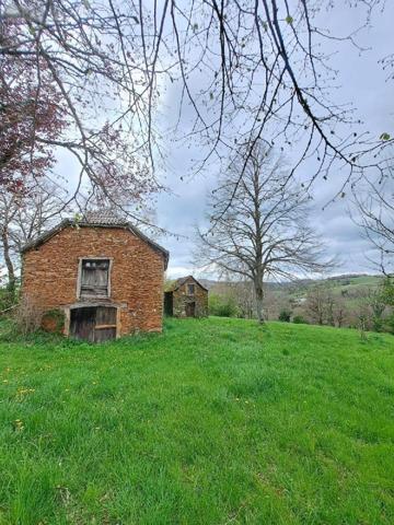 Maison à vendre à La Salvetat-Peyralès dans l'Aveyron (12440), ref : 1010188   
Aveyron