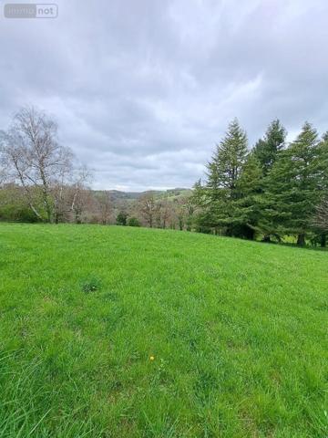 Maison à vendre à La Salvetat-Peyralès dans l'Aveyron (12440), ref : 1010188   
Aveyron