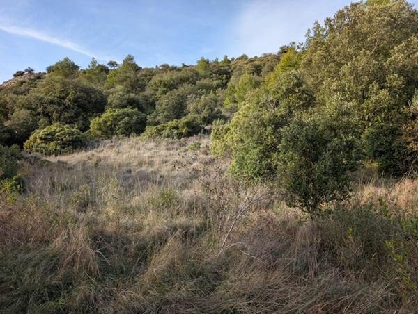 Terrain à RIEUX-EN-VAL, 11220 - 2300m²