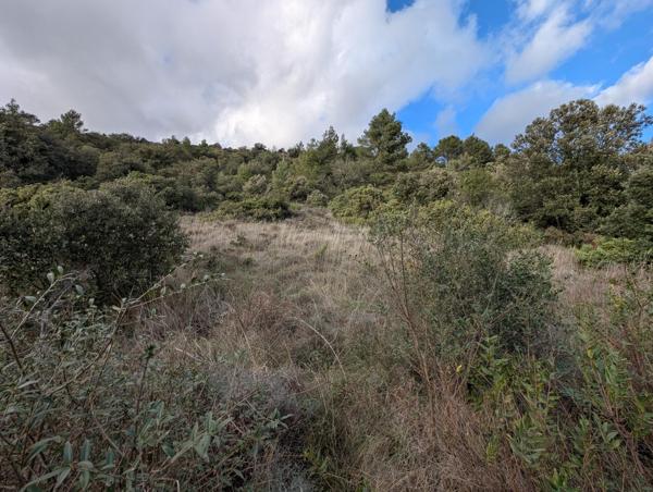 Terrain à RIEUX-EN-VAL, 11220 - 2300m²
