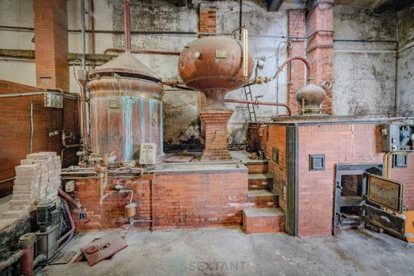 MAGNIFIQUE PROPRIETE EN GRANDE CHAMPAGNE SUR + DE 3 HA