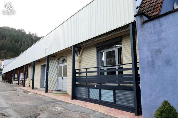 VENTE EN VIAGER : MAISON / VILLA - Remiremont - Vosges (88)