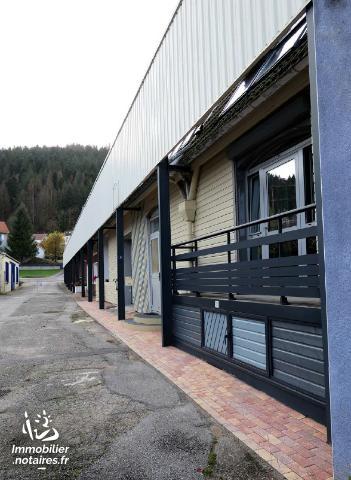 VENTE EN VIAGER : MAISON / VILLA - Remiremont - Vosges (88)