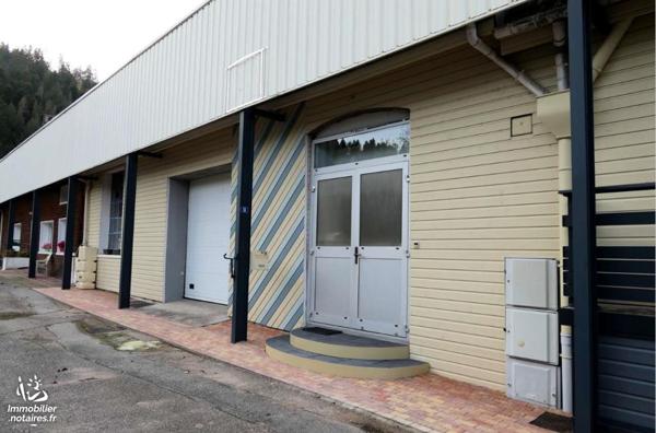 VENTE EN VIAGER : MAISON / VILLA - Remiremont - Vosges (88)