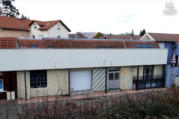 VENTE EN VIAGER : MAISON / VILLA - Remiremont - Vosges (88)