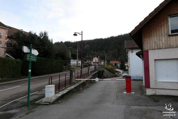 VENTE EN VIAGER : MAISON / VILLA - Remiremont - Vosges (88)