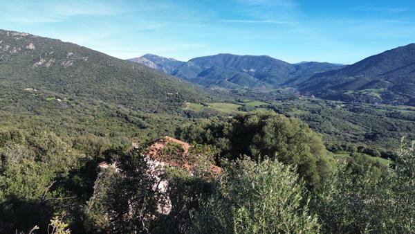 Terrain constructible vue mer à Olmeto – secteur prisé entre Propriano et Olmeto Olmeto (20113)