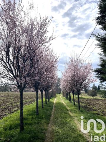 Maison à vendre 10 pièces 285 m² Chepniers