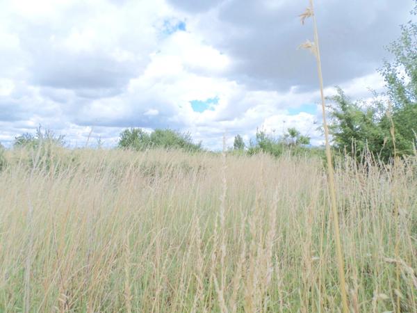 Terrain à vendre PUYRAVAULT (85)