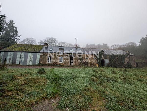 Longère à vendre à Réguiny 7900 m² de terrain