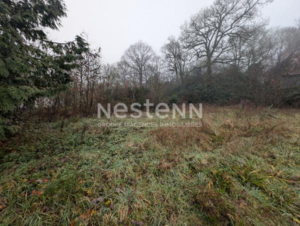 Longère à vendre à Réguiny 7900 m² de terrain