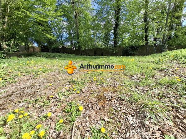 Vente                                                      Terrain
                        
                                         954 m2                     à Coulommiers