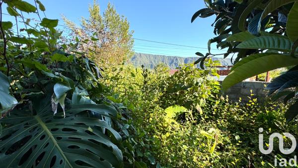 Maison à vendre 4 pièces 83 m² La Plaine-des-Palmistes