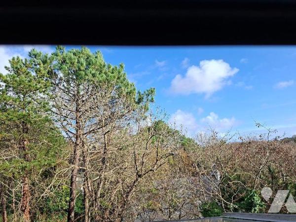 Appartement T1 bis meublé composé d'une entrée, salle d'eau avec WC, séjour avec espace cuisine...