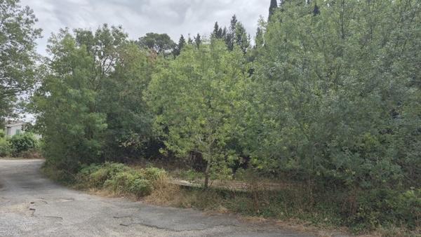 Terrain à vendre |  Castelnaudary |  4859 m²