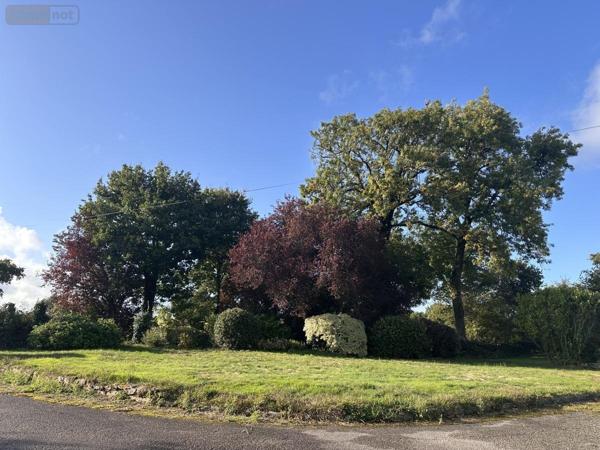 Maison à vendre à Ploeren dans le Morbihan (56880), ref : 56003-1379