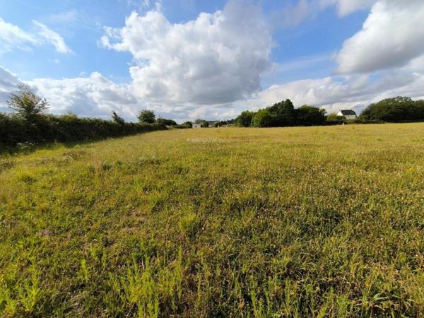 Terrain plat exposé sud