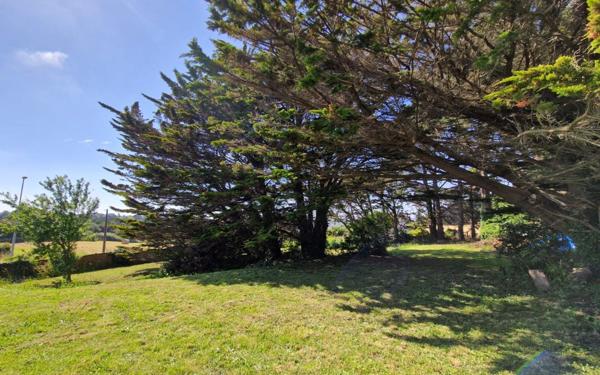 Maison à vendre    5 pièces •  Plestin-les-Grèves