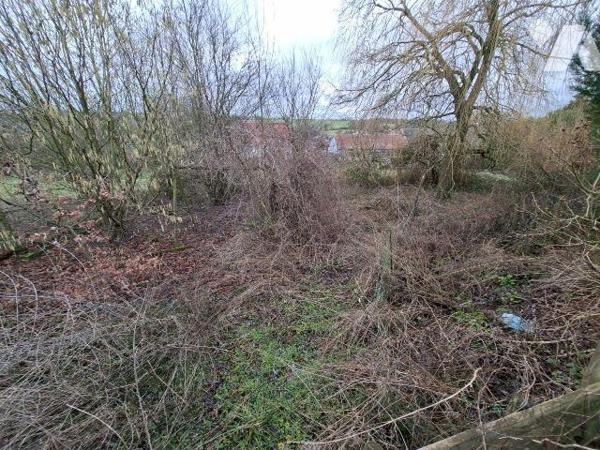 Maison de caractère en pierres, de 200 m2 habitable sur et avec 1304 m2, comprenant :
- au rez...