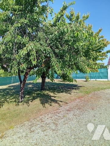 Maison à Vendre à Saint-Laurent-Nouan (41220) en Loir-et-Cher (41)

Maison à vendre à Saint-L...