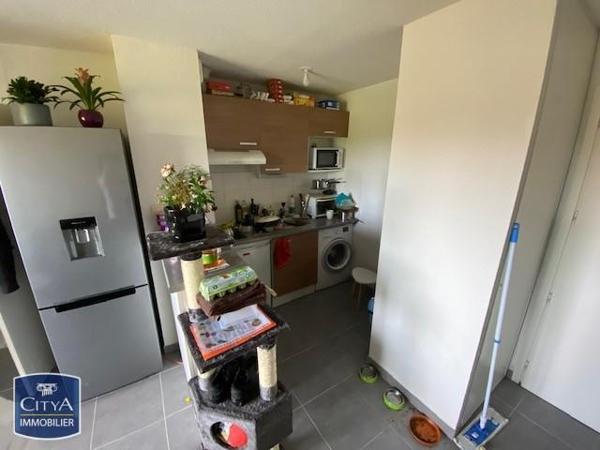 Appartement à louer 2 pièces 36.98m²