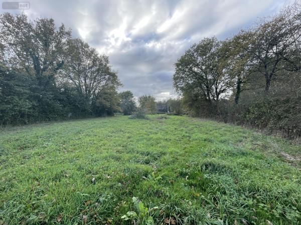 Terrain à Batir à vendre à Grand-Fougeray en Ille-et-Vilaine (35390), ref : 78/723-35078