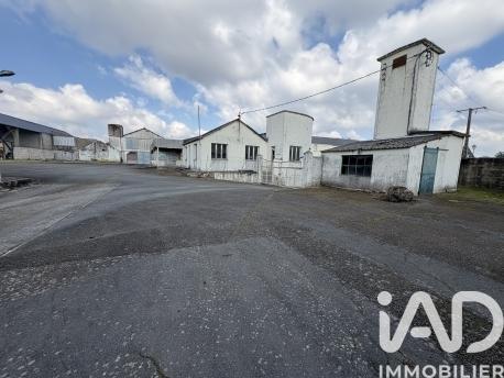 Immeuble à vendre 1 722 m² Bellevigne-les-Châteaux